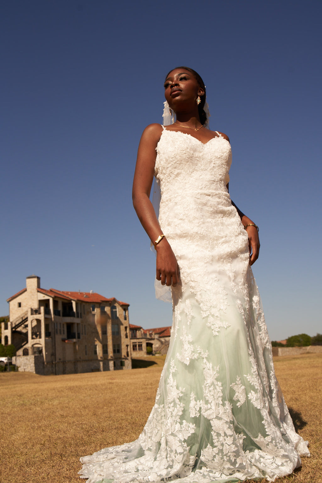 Ombre mermaid outlet wedding dress